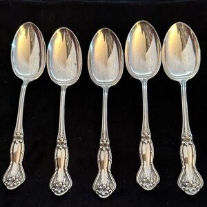 Elegant Silver Spoons Set